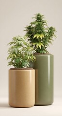 Obraz premium Cannabis Plants in Stylish Cylindrical Pots.