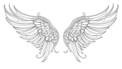 Obraz premium Ornate, detailed angel wings