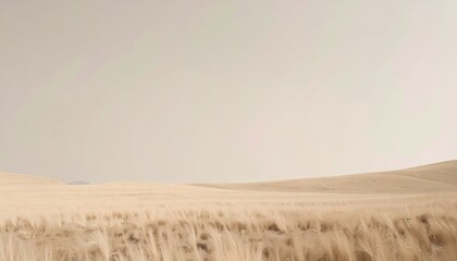 Expansive Beige Grassland Under a Pale Sky