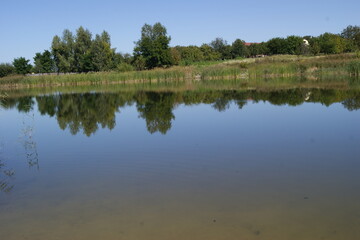 Calm pond with still water reflecting trees, greenery, and blue sky in a peaceful natural setting
