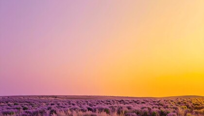 Lavender Field Sunset: Purple and Orange Gradient Sky
