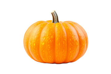 Fototapeta premium Fresh orange pumpkin with natural stem on transparent background.