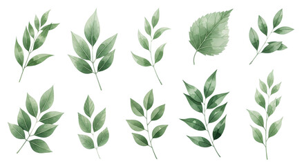 Collection of green watercolor leaves isolated on transparent background