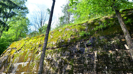 Destroyed WWII bunker ruins found in the forest covered with moss, shrubs, and other flora.