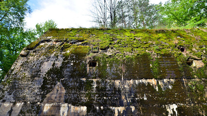 Destroyed WWII bunker ruins found in the forest covered with moss, shrubs, and other flora.