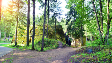Obraz premium Destroyed WWII bunker ruins found in the forest covered with moss, shrubs, and other flora.