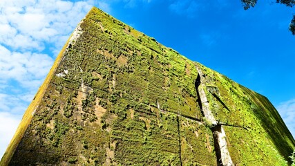 Destroyed WWII bunker ruins found in the forest covered with moss, shrubs, and other flora.