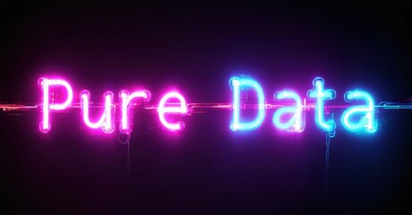 Bright neon sign displays text Pure Data. Vivid purple, blue hues dominate dark background. Modern aesthetic, simple design.