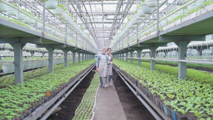 Senior farmer instructing new female employee in greenhouse, agriculture career