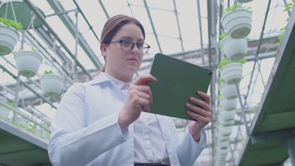 Female botanical expert in uniform using tablet, monitoring plant breeding