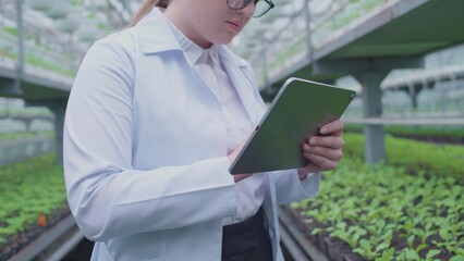Female agricultural engineer checking plant data in greenhouse on tablet