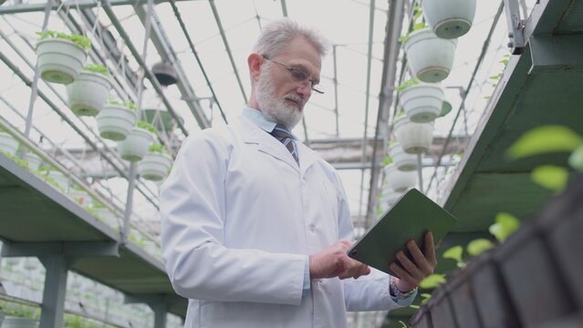 Biology researcher preparing report on tablet, examining plants in greenhouse - Powered by Adobe
