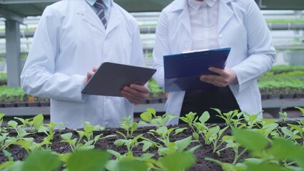 Botanists monitor plant health in a hothouse, typing observations on a tablet