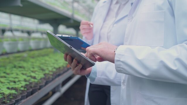 Hothouse male worker using tablet application, high-tech cultivation control