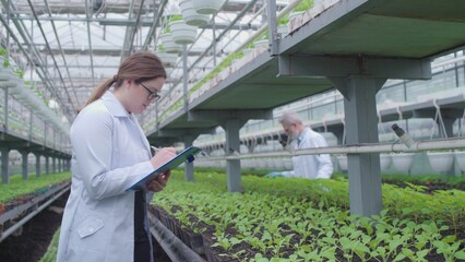 Agricultural specialists examining plants in hothouse, preparing report, biology