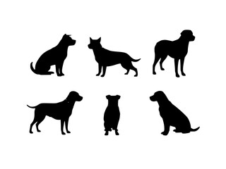 silhouettes of dogs