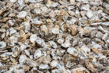 Cancale, Bretagne, France a marine city paradise of the oyster gastronomy