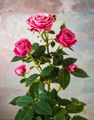 Pink roses in a bouquet