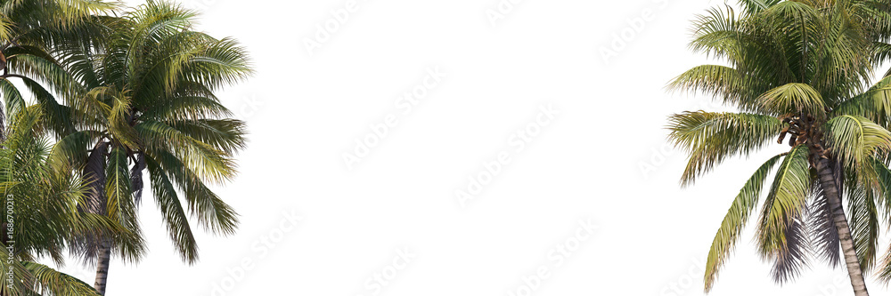 Poster foreground realistic coconut trees collection on transparent backgrounds. high quality 3d rendering.