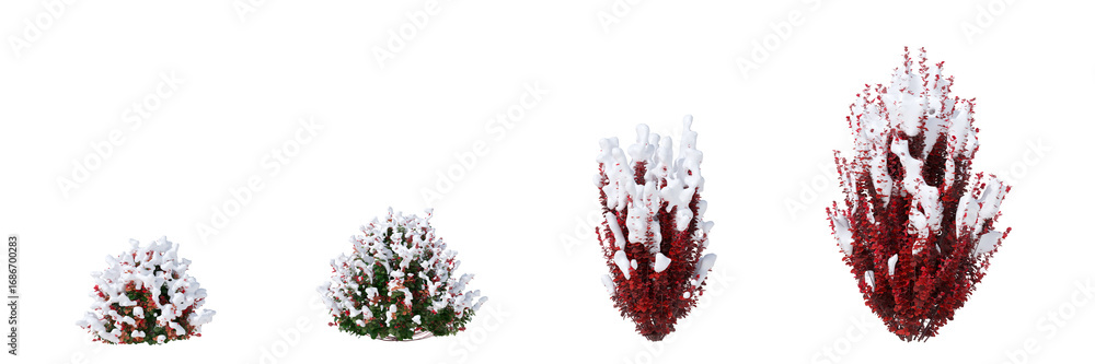 Poster cut out realistic winter snow trees collection on transparent backgrounds. high quality 3d rendering
