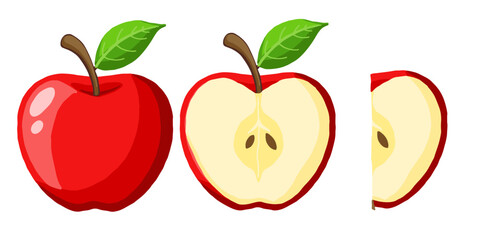 Hand drawn cartoon red ripe apple vector illustration. Whole, half, slice of fresh red apple garden fruit clip art