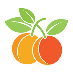 Two Oranges with Green Leaves on White Background fruit citrus