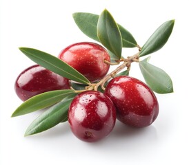 Glossy, reddish olives on a twig with green leaves, displayed against a white background, show delicate natural textures