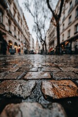 Wet cobblestone street in a city. Low angle view with blurred background of buildings and trees on an overcast day