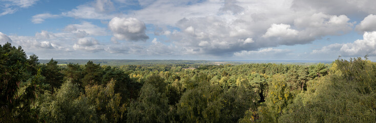 Obraz premium Bright panorama of forest and cloudy sky