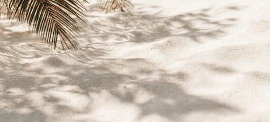 The serene palm shadows dancing on the soft sandy beach.