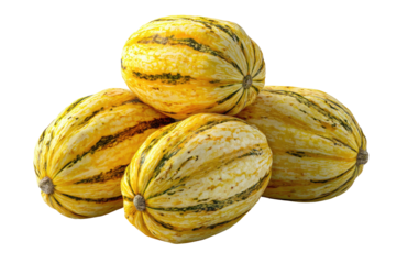 Group of striped yellow-and-green gourds