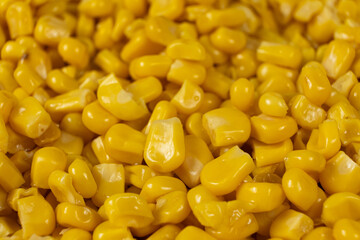 Bright Sweet Canned Corn Kernels Macro.