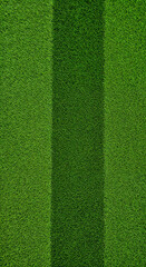 Overhead close-up of lush green football field grass with striped pattern.