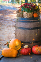 Seasonal autumn display featuring a wooden barrel decorated with baskets of chrysanthemums, with a...