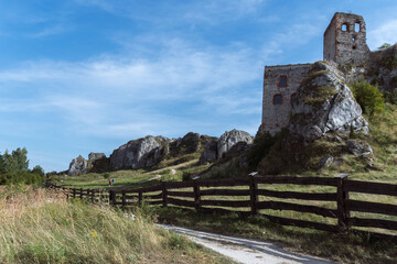Fototapety na wymiar - Fototapeta24.pl