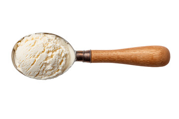 Creamy vanilla ice cream scoop (1)