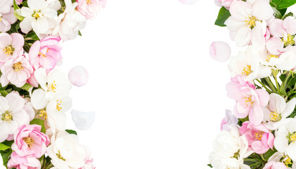 PNG Transparent Cherry Blossom Side Border