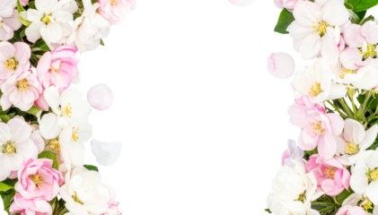 PNG Transparent Cherry Blossom Side Border