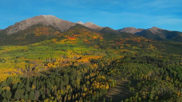 Mt Mount Shavano Tabeguache Peak wilderness Sawatch Range aerial drone Colorado Trail Buena Vista Chaffee County autumn fall morning colorful Aspen trees forest blue sky Rocky Mountains circle right