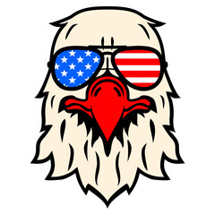 eagle america flag eyeglass