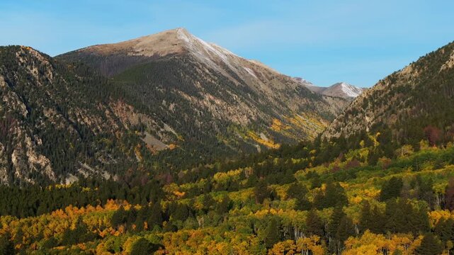 Mt Mount Shavano trailhead wilderness 14er Buena Vista Salida Sawatch Range aerial drone Colorado Trail autumn fall morning colorful Aspen tree blue sky snow dusted Rocky Mountains parallax left