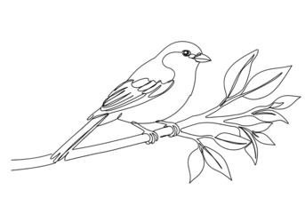 Isolated Silhouette Of A White Bird Perched On A Branch Illustration