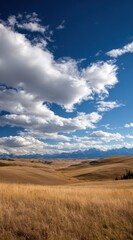 Fototapeta premium Vast golden grassland meets distant mountains under a bright blue sky filled with puffy white clouds