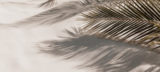 Obraz premium The Beautiful Shadows of Palm Leaves on Soft Sandy Beach