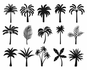 Collection of diverse black silhouette palm trees and leaves on white background