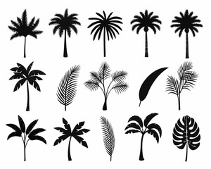 Obraz premium Collection of black palm tree silhouettes and leaves on white background