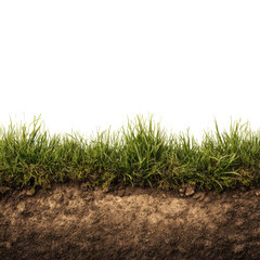 Obraz premium Lush green grass growing from rich brown soil earth dirt, Isolated On Png Transparent Background
