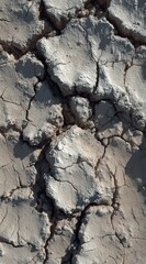 Fototapeta premium Cracked Earth. A close-up shows dry, cracked earth with irregular patterns, highlighting the textures of arid land under bright light, emphasizing desiccation