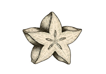 Isolated Starfruit Illustration On Transparent Background A Detailed Cutout