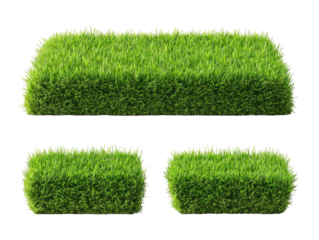 Four rectangular blocks of dense, vibrant green grass